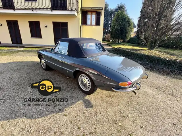 Alfa Romeo Spider