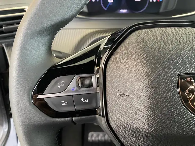 Peugeot 2008 view 13