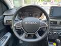 Dacia Sandero Stepway Extreme+ TCe 110+NAVI+GJR+SHZG+AHK+KAM+ Bleu - thumbnail 9