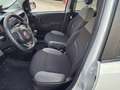 Fiat Panda Panda III 2021 1.0 firefly hybrid City Life s Bianco - thumbnail 6