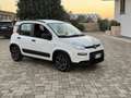Fiat Panda Panda III 2021 1.0 firefly hybrid City Life s Bianco - thumbnail 1