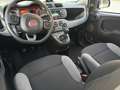 Fiat Panda Panda III 2021 1.0 firefly hybrid City Life s Bianco - thumbnail 5