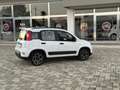 Fiat Panda Panda III 2021 1.0 firefly hybrid City Life s Bianco - thumbnail 3