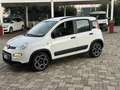 Fiat Panda Panda III 2021 1.0 firefly hybrid City Life s Bianco - thumbnail 2