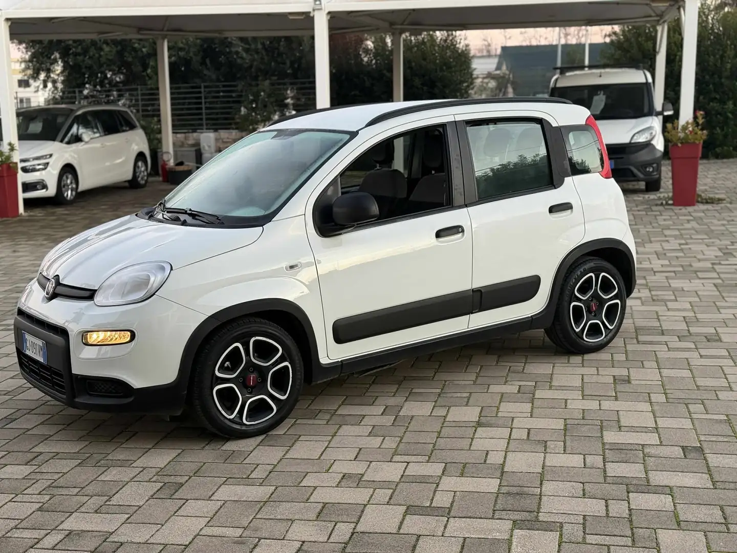 Fiat Panda Panda III 2021 1.0 firefly hybrid City Life s Bianco - 2