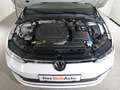Volkswagen Golf Variant VW Golf Variant Life TDI DSG, 2022 Weiß - thumbnail 12