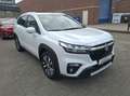 Suzuki S-Cross 1.4 Boosterjet Style Smart Hybrid Wit - thumbnail 7