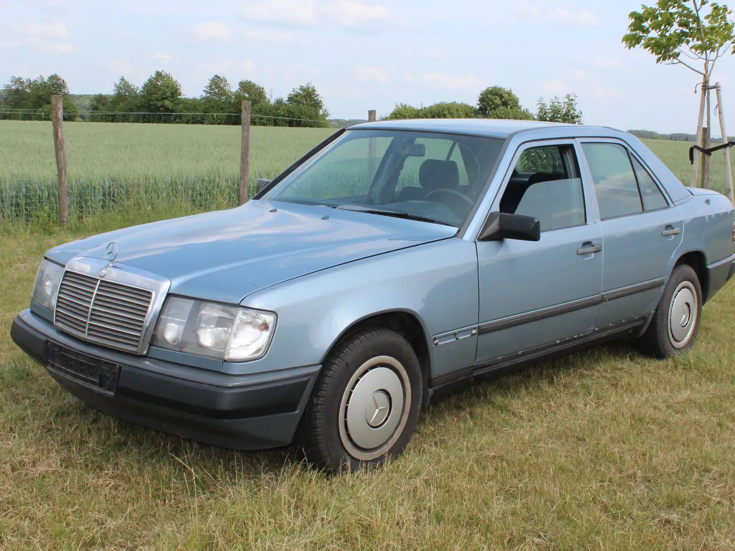 Mercedes-Benz 200 diesel maart 1986 Blu/Azzurro - 2