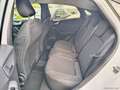 Ford Puma 1.5 EcoBlue 120CV S&S Titanium GARANZIA FORD Bianco - thumbnail 8