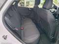 Ford Puma 1.5 EcoBlue 120CV S&S Titanium GARANZIA FORD Bianco - thumbnail 9