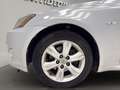 Lexus IS 220d Luxury Cambio 2.4 Gris - thumbnail 21