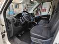 Peugeot Boxer 435 2.2 BlueHDi 140 S&S PLM 4p. Furg.*PATEN Bianco - thumbnail 5