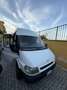 Ford Transit - thumbnail 3