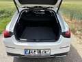 Mercedes-Benz CLA 200 CLA 200d Shooting Brake Österreich-Edition Aut. Ös Weiß - thumbnail 2