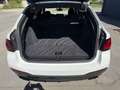 BMW 530 i Touring  M Sport Navi Prof Pano H/K AHK Weiß - thumbnail 5