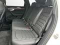 Volkswagen Touareg 3.0 TDI 4M R-Line Weiß - thumbnail 12