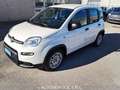 Fiat Panda 1.0 FireFly S&S Hybrid - thumbnail 2