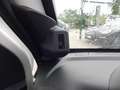 Piaggio Porter NUOVO PORTER NP6 CASSONE 3080 RIBALTABILE MY 2026 ATTENZIONE: NUOVO MODELLO!!!!!!! LEGGERE ELENCO ACCESSORI! Weiß - thumbnail 13