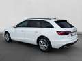 Audi A4 35 TFSI LED LM17 SPORTSITZE Weiß - thumbnail 18