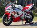 Yamaha YZF-R1 1998 - first gen Blanc - thumbnail 1