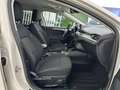 Ford Focus 1.5Ecoblue Titanium 120 Weiß - thumbnail 12