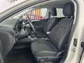 Ford Focus 1.5Ecoblue Titanium 120 Weiß - thumbnail 6