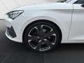 CUPRA Leon 2.0 Sportstourer*Winter*Kamera*CarPlay*ACC* Weiß - thumbnail 11