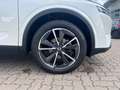 Nissan Qashqai Tekna+, 360°AVM, Bose-Sound Sys. Blanc - thumbnail 11