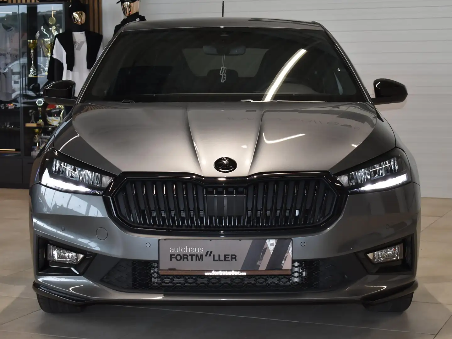 Skoda Fabia //Monte Carlo Grau - 2