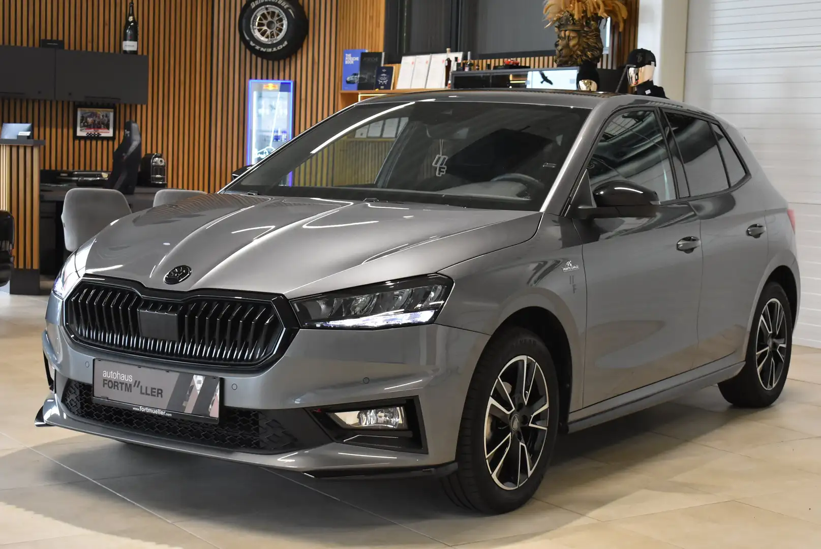 Skoda Fabia //Monte Carlo Grau - 1