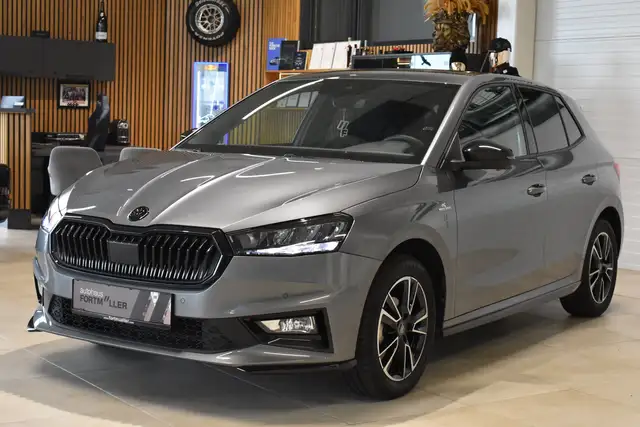 Skoda Fabia //Monte Carlo