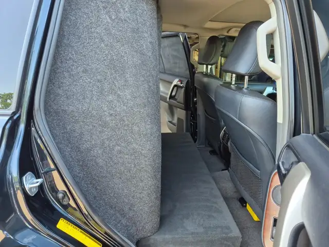 Toyota Land Cruiser view 11