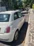 Fiat 500 500 1.2 Lounge 69cv Bianco - thumbnail 5