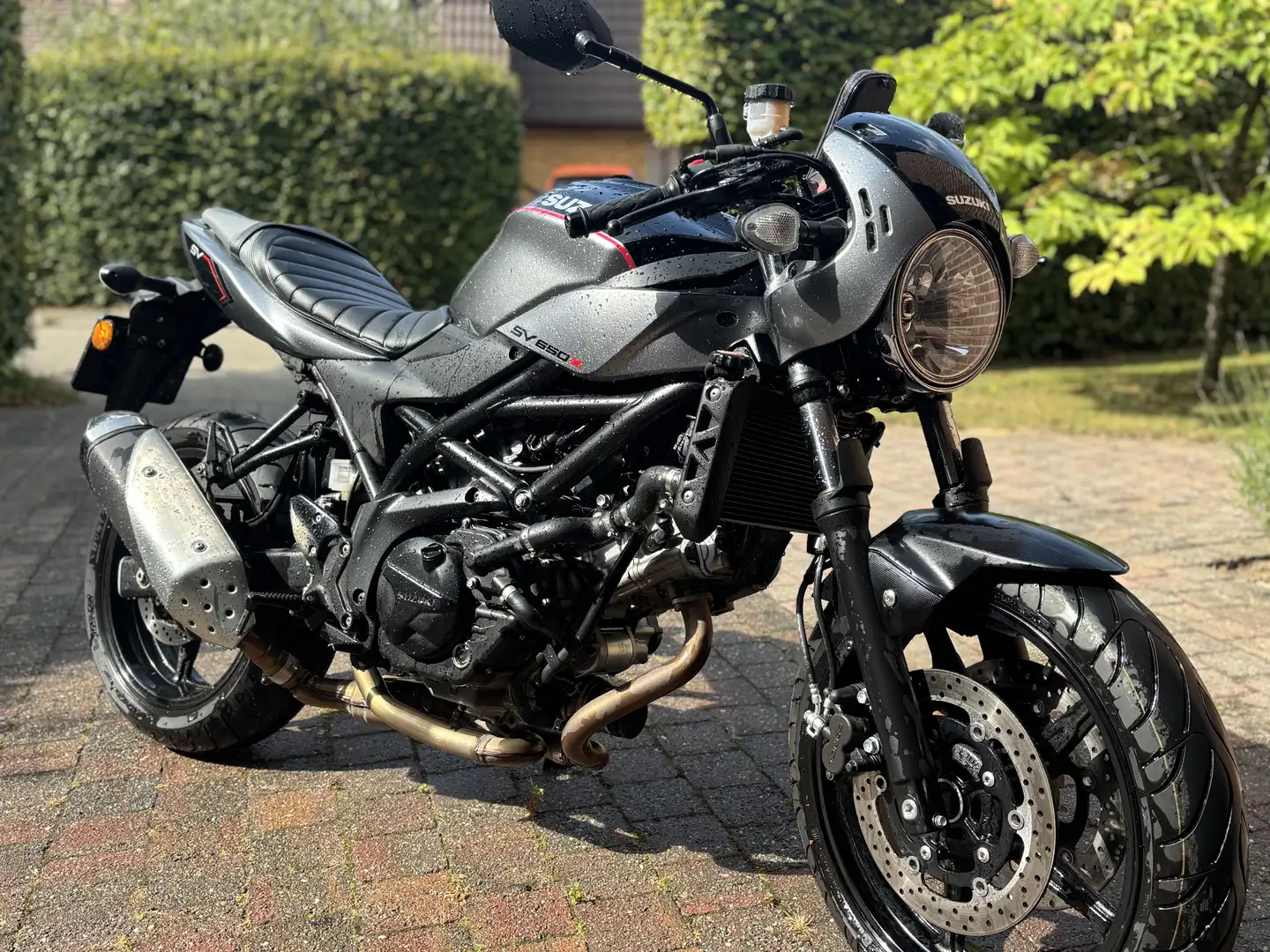 Suzuki SV 650 SV 650 modèle X (édition spéciale 2018) Šedá - 1