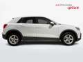 Audi Q2 I 2021 30 2.0 tdi Business s-tronic Bianco - thumbnail 12