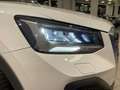 Audi Q2 I 2021 30 2.0 tdi Business s-tronic Bianco - thumbnail 6