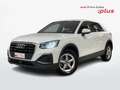 Audi Q2 I 2021 30 2.0 tdi Business s-tronic Bianco - thumbnail 1