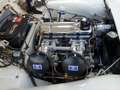 Triumph TR3 spyder Blanc - thumbnail 5