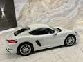 Porsche Cayman 718 Cayman PDK 300PS * NUR 34.000KM * 1.BESITZ ... Weiß - thumbnail 12