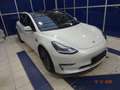 Tesla Model 3 Model 3 Performance AWD 57,5kWh Weiß - thumbnail 1