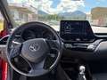 Toyota C-HR 1,8 l Hybrid 4x2, Club, CVT  8-fach bereift! Rot - thumbnail 16