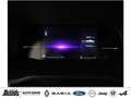 Renault Trafic Blue dCi 150 Evolution 8-SITZER PDC R-KAMERA NAVI. Grijs - thumbnail 15