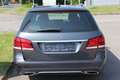 Mercedes-Benz E 250 E 250 BlueTec Gris - thumbnail 6
