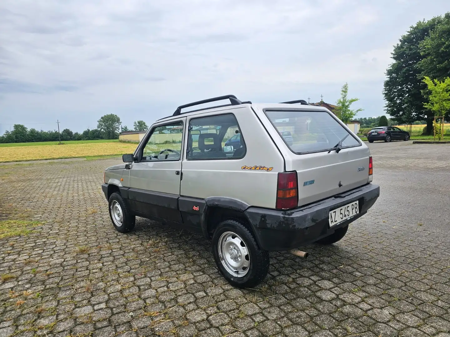 Fiat Panda Panda  1.1 Trekking 4x4 Silver - 1
