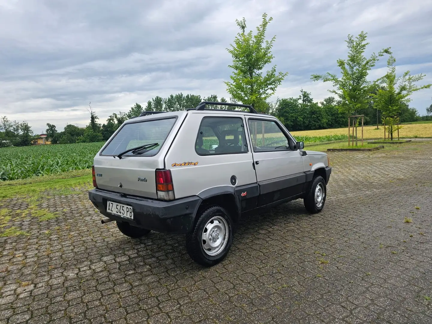 Fiat Panda Panda  1.1 Trekking 4x4 Silver - 2