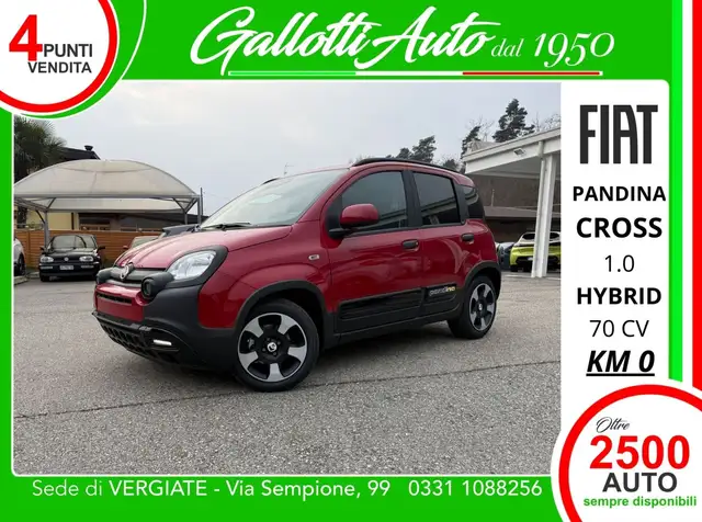 Fiat Panda CROSS 1.0 hybrid 70cv 5p.ti