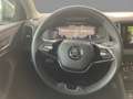 Skoda Karoq Ambition Tour 2.0 TDI 4x4 NAV LED R-KAM Grau - thumbnail 11