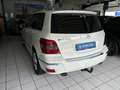 Mercedes-Benz GLK 220 CDI BlueEfficiency Sport Edition/AHK/ALU Blanc - thumbnail 7