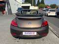 Volkswagen Beetle Cabriolet Design BMT **NAVI*SHZ*2-HAND** Braun - thumbnail 7