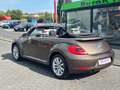 Volkswagen Beetle Cabriolet Design BMT **NAVI*SHZ*2-HAND** Braun - thumbnail 6